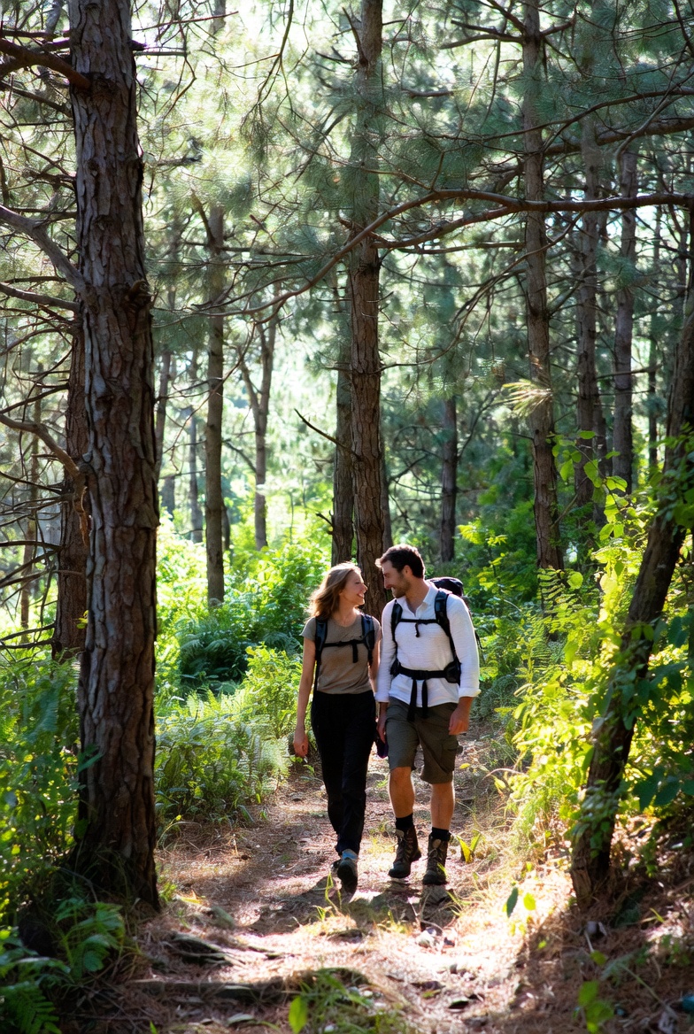 Group performing light movement exercises in an office space
